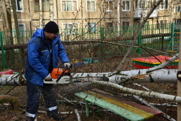 Последствия штормового ветра в Твери