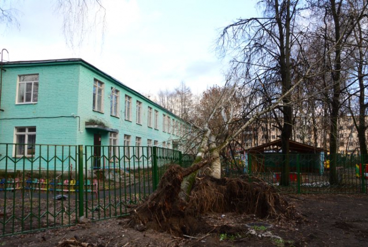 Последствия штормового ветра в Твери