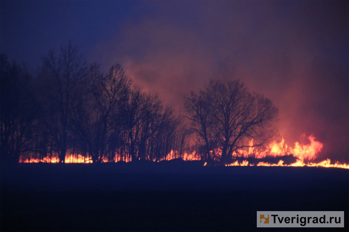 В Тверской области ведётся работа по профилактике палов сухой травы и лесных пожаров