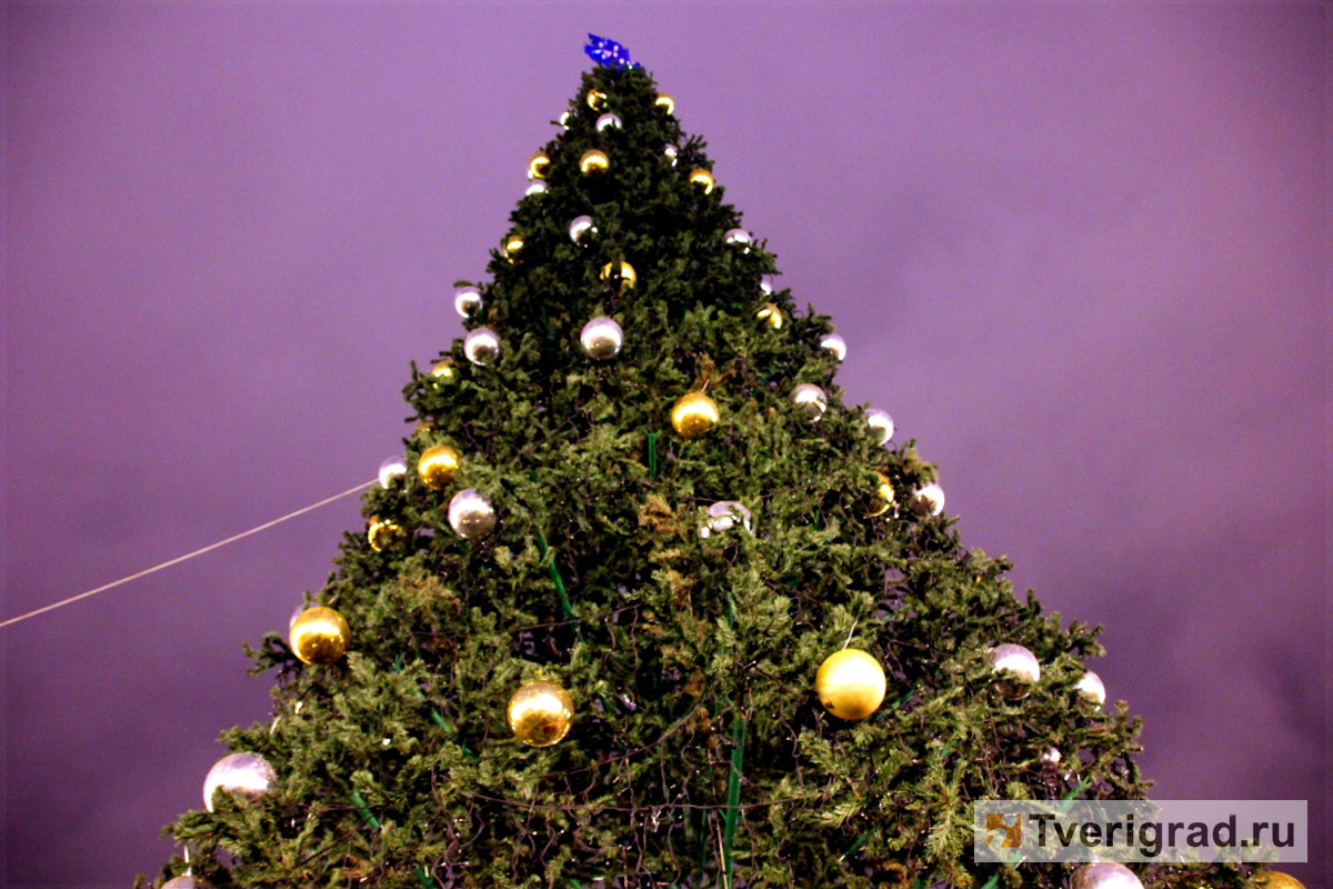 В Твери разбирают главную новогоднюю ёлку города