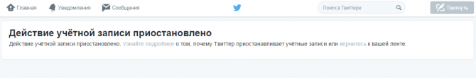В Twitter заблокировали фальшивую страницу Андрея Шевелева