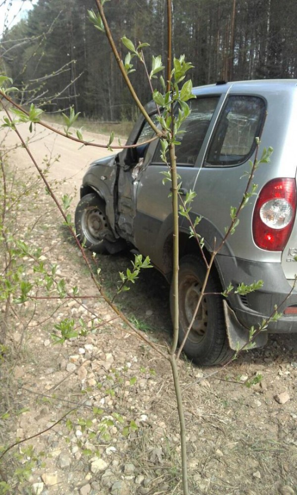 В Бологовском районе автомобиль влетел в столб
