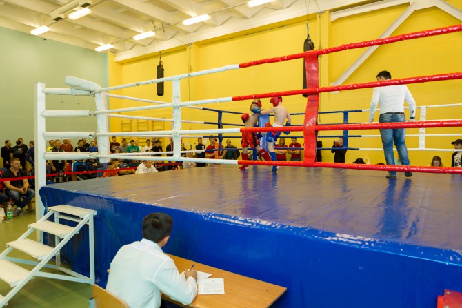 В Твери состоялся турнир по кикбоксингу