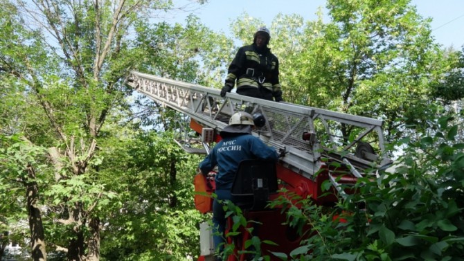 В Твери пожарные сняли с 12-метровой высоты девочку с котом