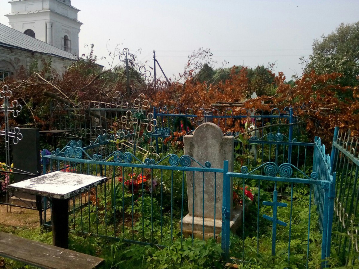 луговское кладбище фото