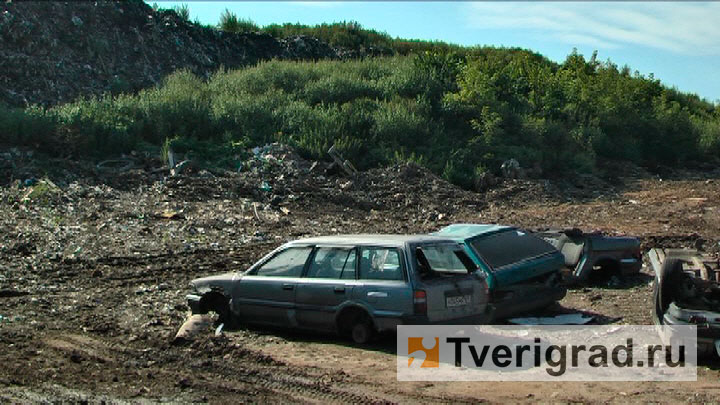 городская свалка (4)