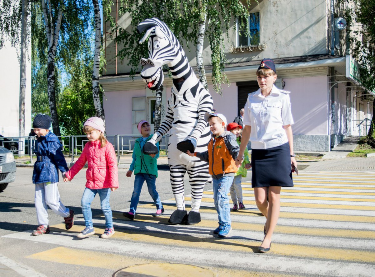 Картинка зебра на зебре