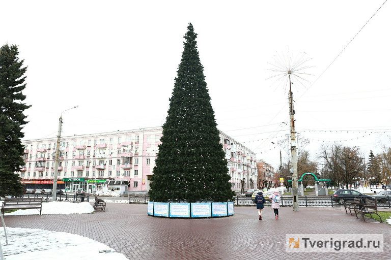 новогодняя елка на площади конституции