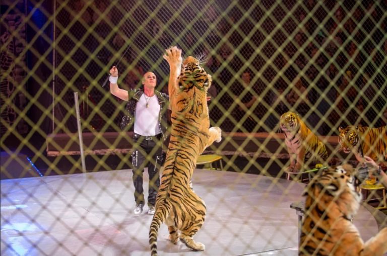 В Твери состоится премьера циркового шоу Гии Эрадзе «Баронеты»