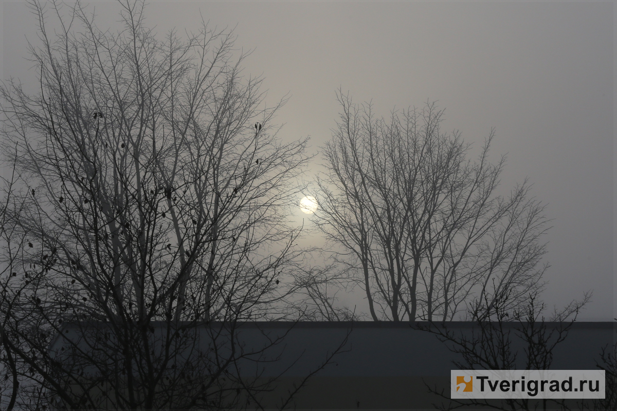 Ночью на Тверскую область опустится туман