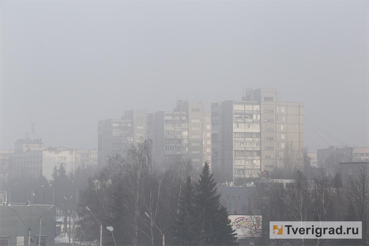 В Тверской области из-за тумана объявлен жёлтый уровень погодной опасности