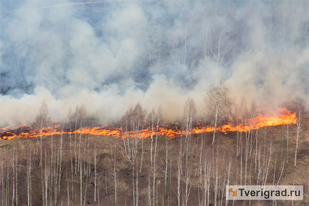 В Твери и двух районах Верхневолжья ожидается высокая пожарная опасность