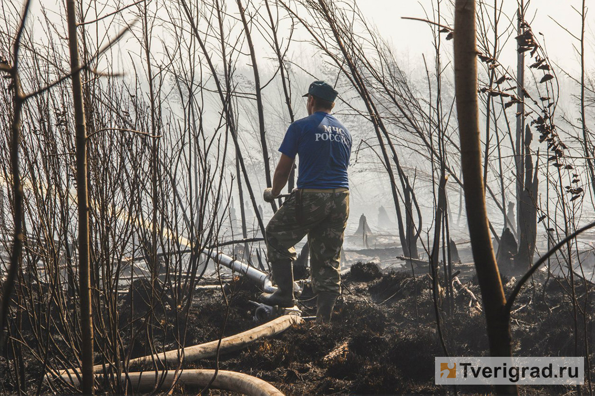 В Тверской области определят лучшего лесного пожарного