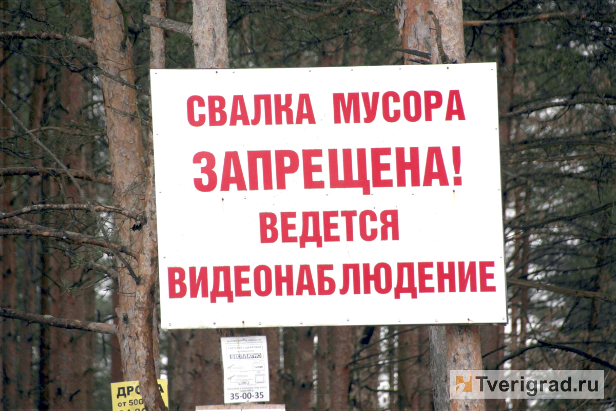Жители Тверской области могут предложить свои агитационные плакаты для борьбы с мусором