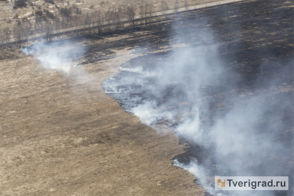 В Тверской области подвели предварительные итоги готовности районов к пожароопасному периоду