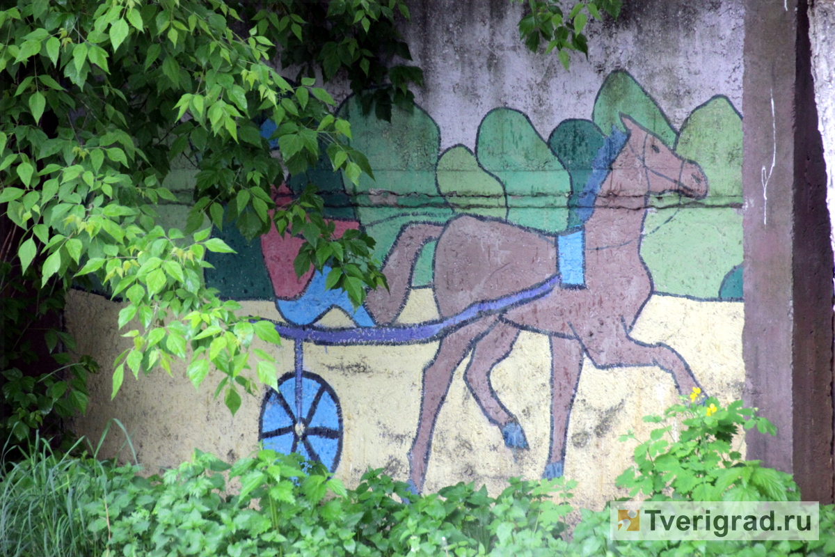 На Тверском областном ипподроме появится музей конного спорта