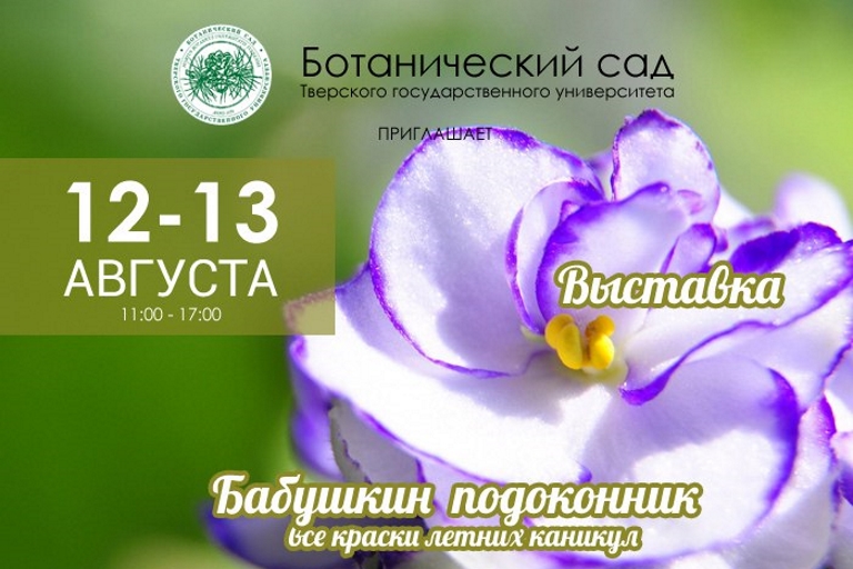 Жителей Твери приглашают на выставку цветов «Бабушкин подоконник»