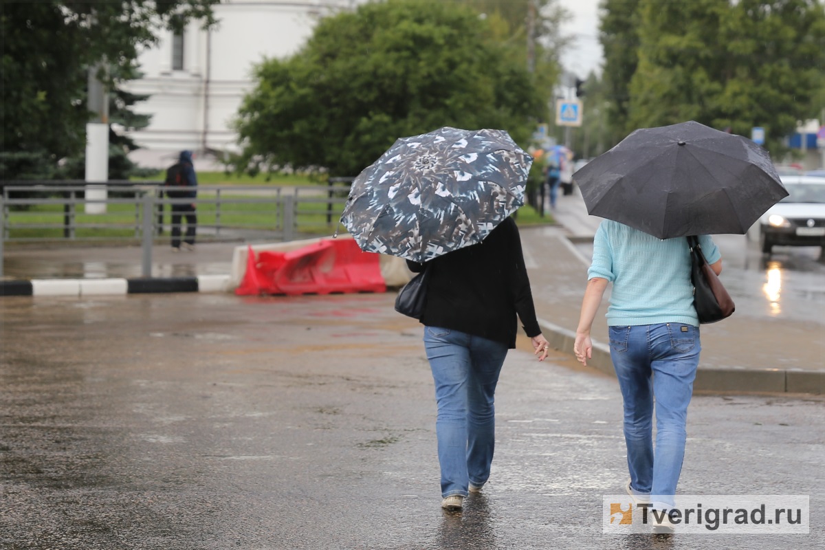 Вероятность дождей и гроз сохранится в Тверской области до середины рабочей недели
