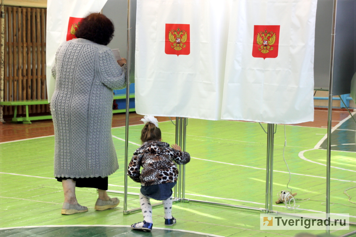 В Тверской области не будет дистанционного голосования по поправкам в Конституцию РФ