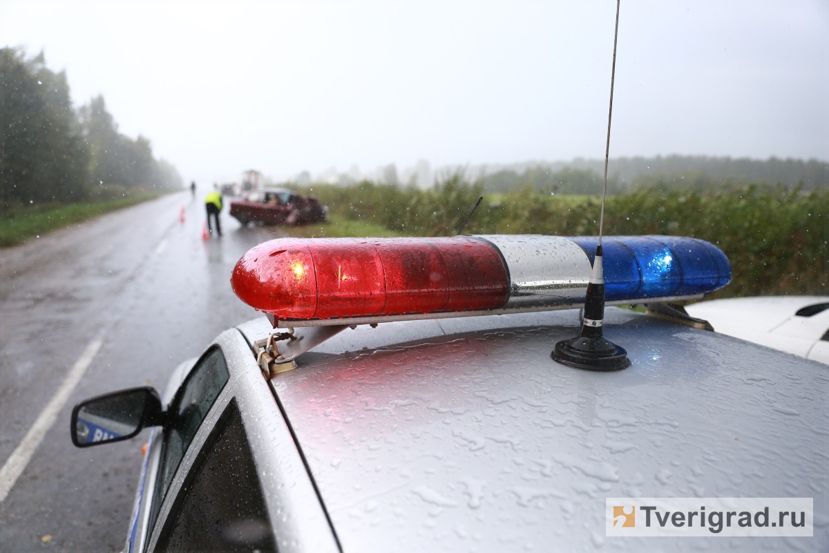 В Тверской области легковушка протаранила дерево, водитель погиб