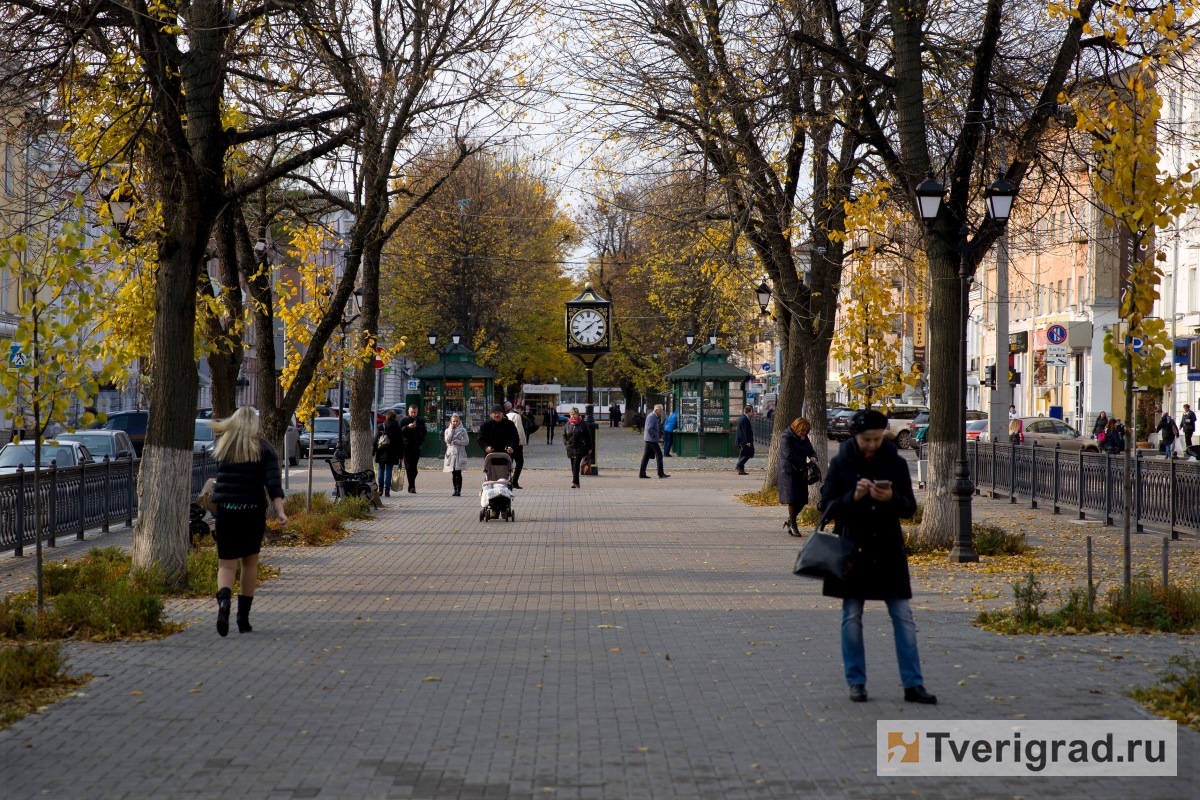 45% жителей Тверской области приняли участие в переписи населения