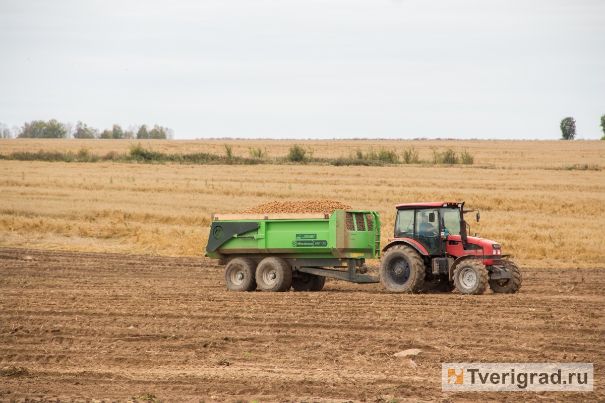 В Тверской области сельских жителей будут вовлекать в агробизнес