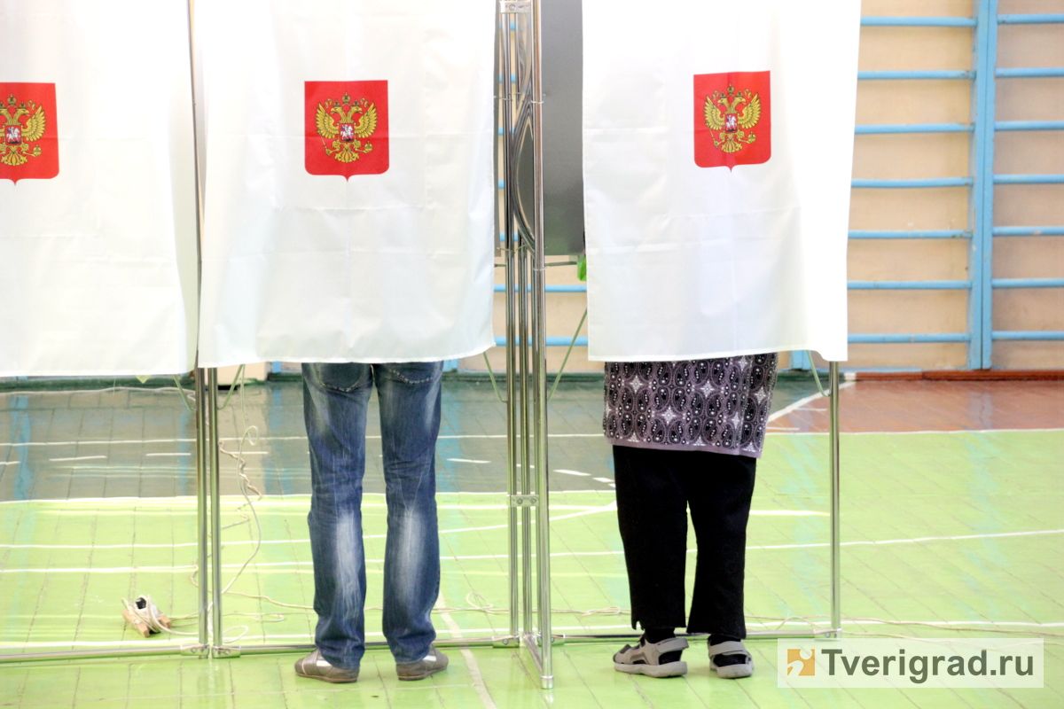 Стали известны результаты выборов в Калининском и Бологовском округах Тверской области