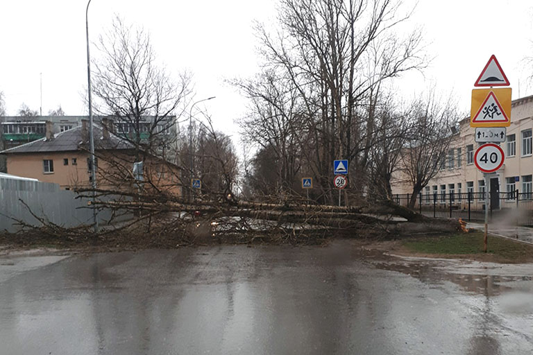 Шквалистый ветер атакует Тверскую область / фото очевидцев