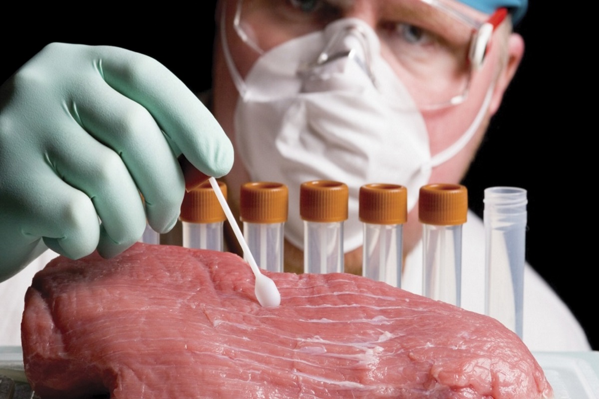 В говядине с тверского предприятия нашли антибиотики и опасные бактерии