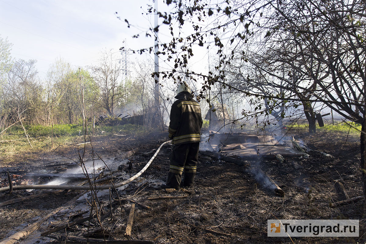 В Тверской области к борьбе с пожарами привлечены бобры