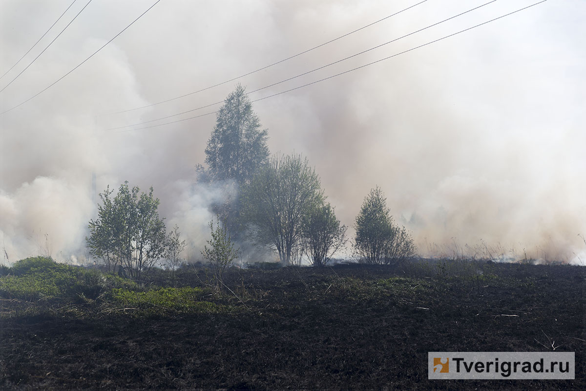 В Тверской области объявлен «жёлтый» уровень опасности