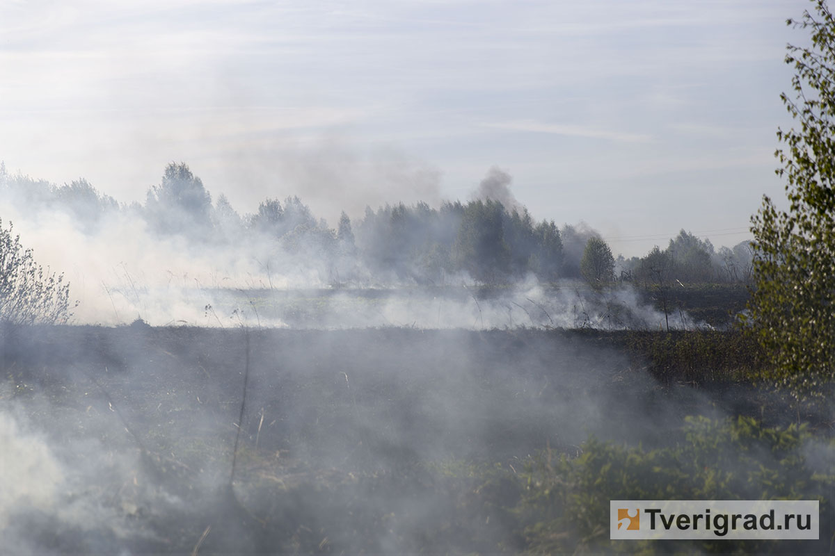 Крупный природный пожар бушует в Тверской области