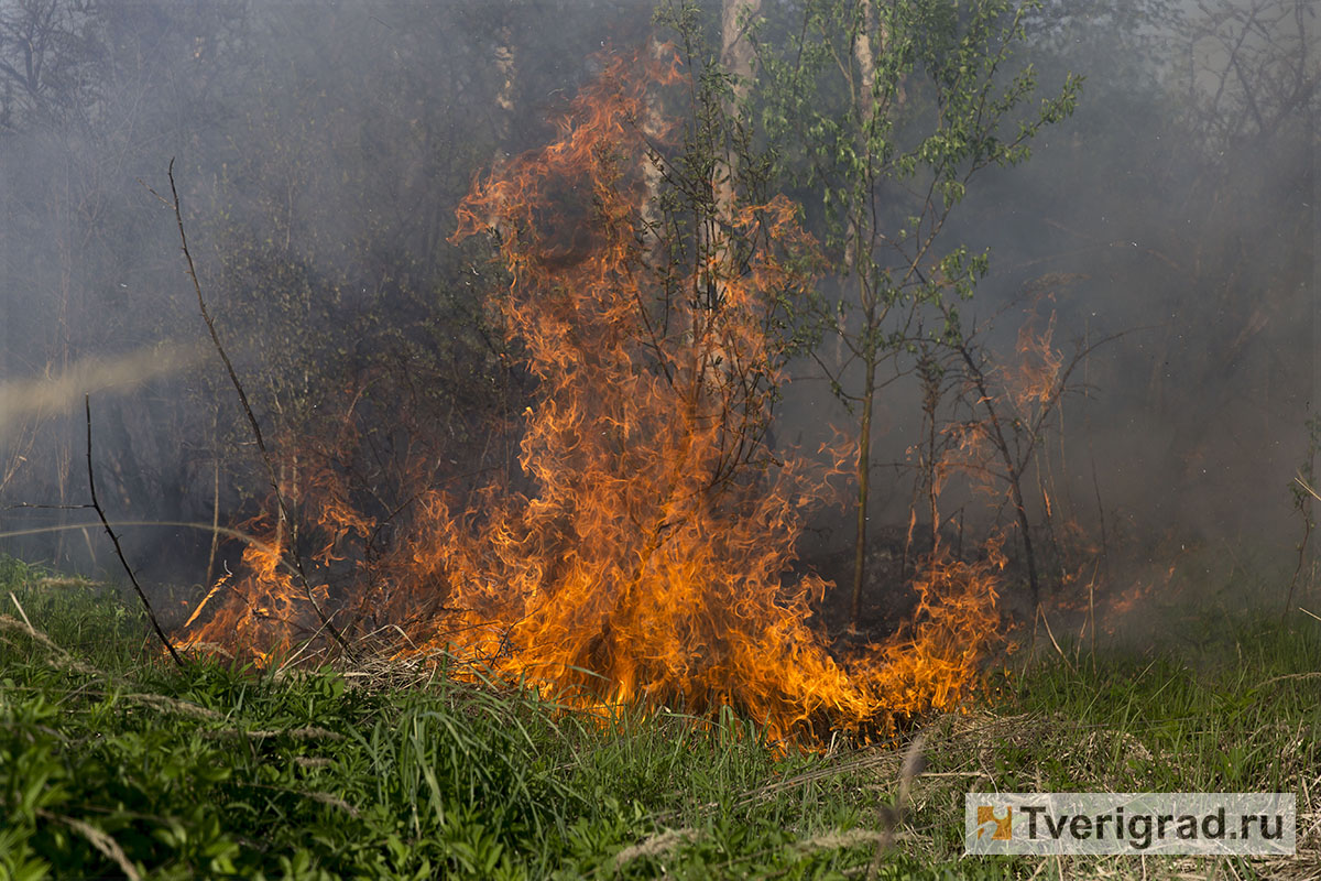 В Тверской области пожарный-доброволец погиб при тушении горящей травы