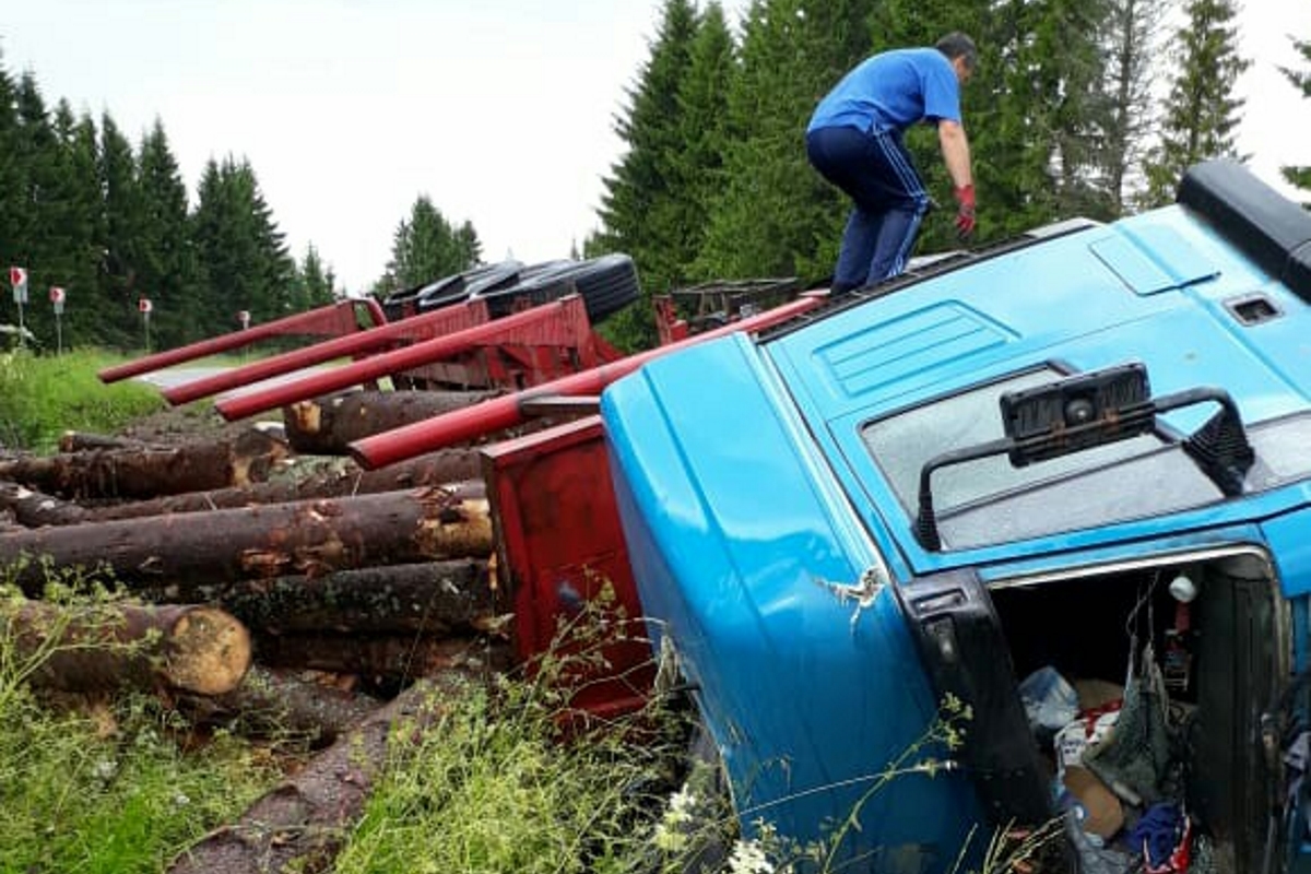В Тверской области перевернулся груженый лесовоз