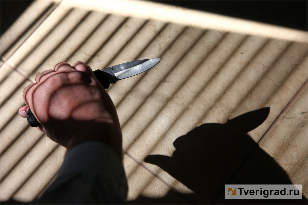 В Тверской области пьяная женщина убила знакомого ножом