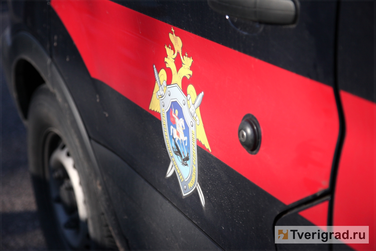 В Нелидово арестовали москвичку, которая ударила ножом местного жителя