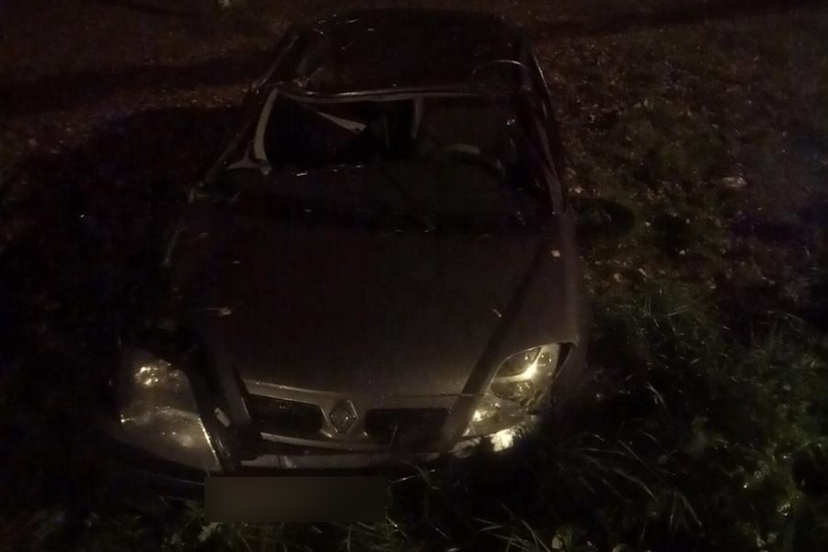 В легковушке, вылетевшей в кювет в Тверской области, пострадал водитель