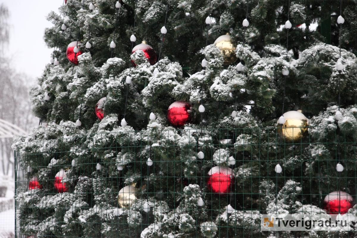 В Твери на Привокзальной площади впервые установят новогоднюю ель
