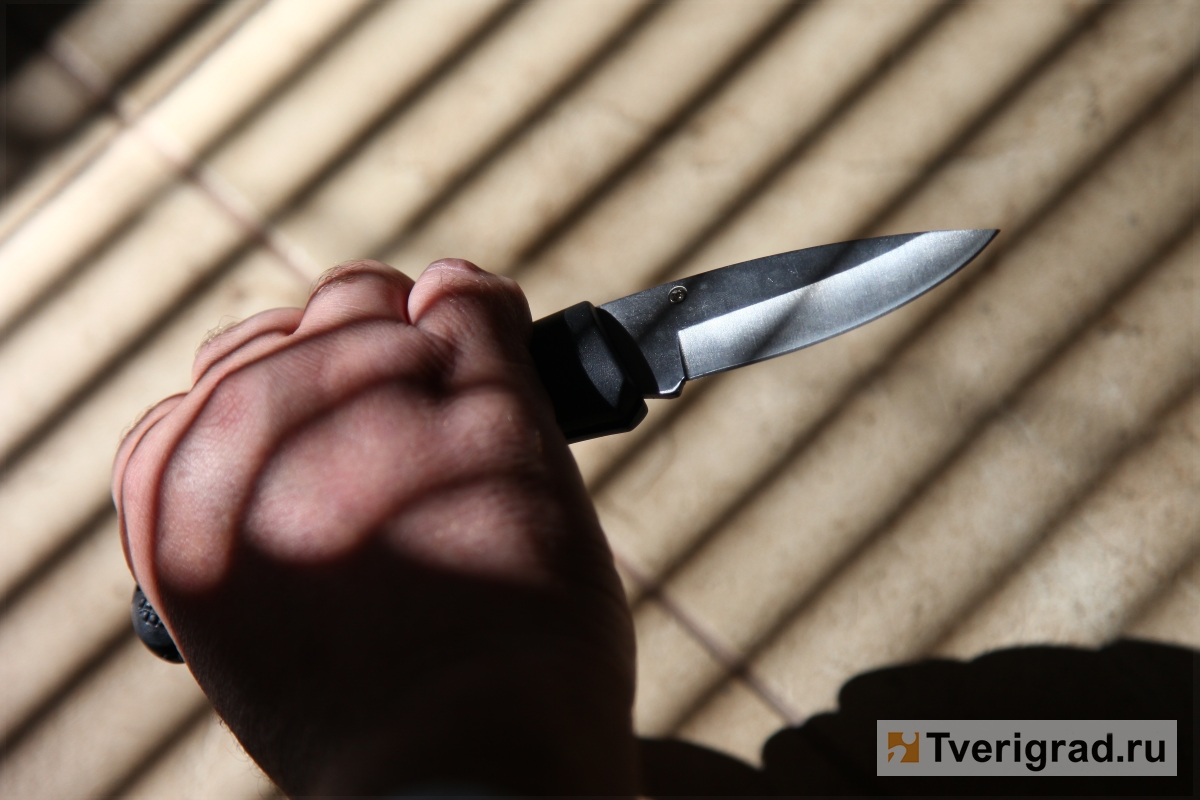 В Тверской области бойцы Росгвардии скрутили вооруженного ножом дебошира