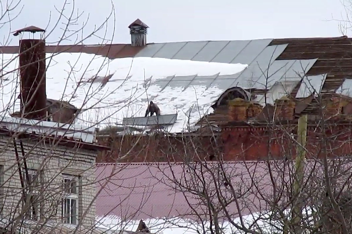 Историческое здание фабрики в Тверской области атакуют мародеры