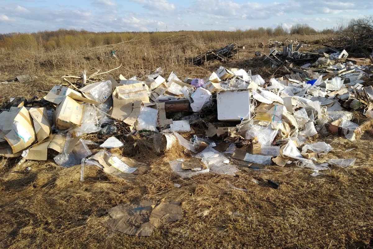 В Тверской области из-за несанкционированной свалки гибнет рыба в реке, в лесу перестали расти грибы