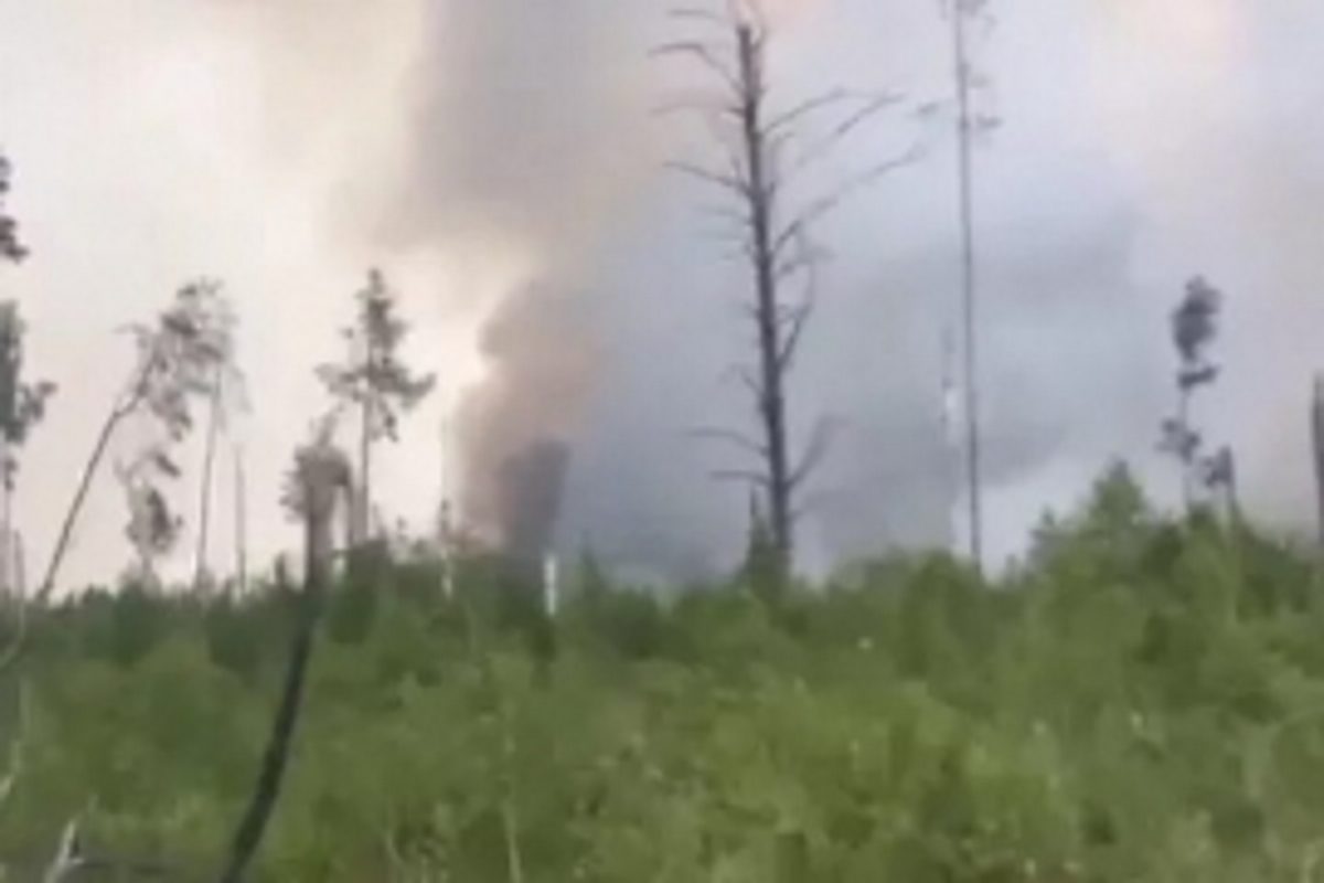 Пожарные ликвидировали возгорание лесной подстилки под Тверью