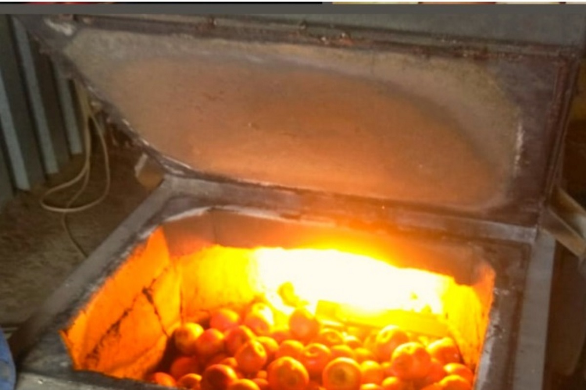 В Твери отправили в печь 130 килограммов санкционных яблок