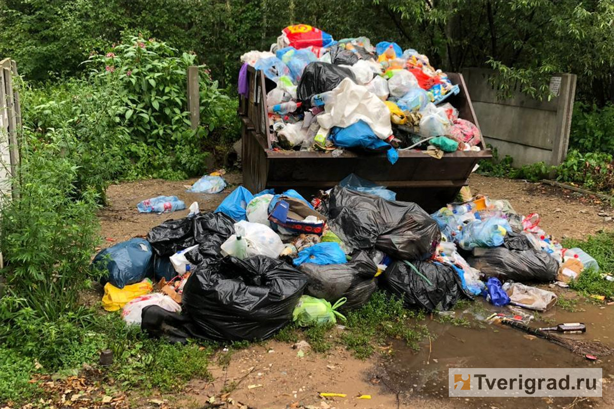 В Тверской области собирать мусор будут на катерах