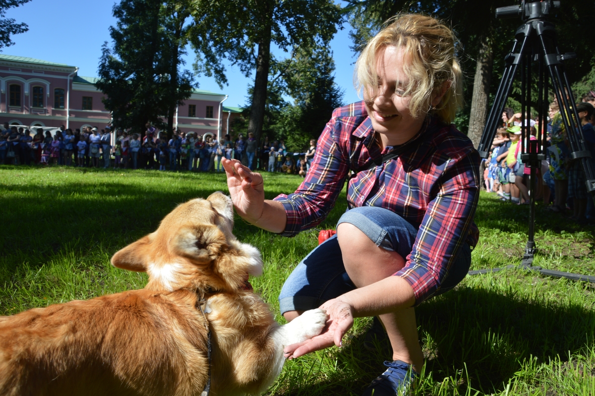 В Твери в городском саду пройдёт фестиваль «Парад собак»