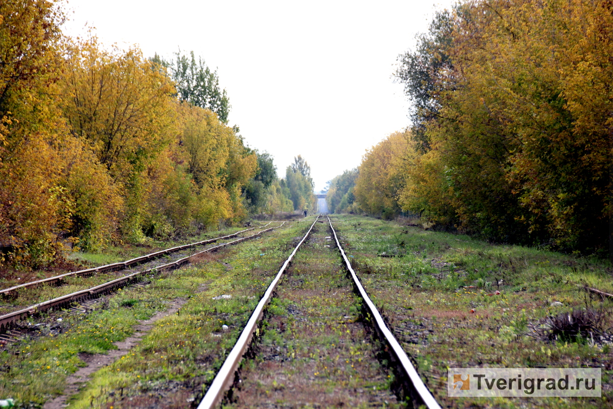 В Тверской области 10 ноября отменят два пригородных поезда