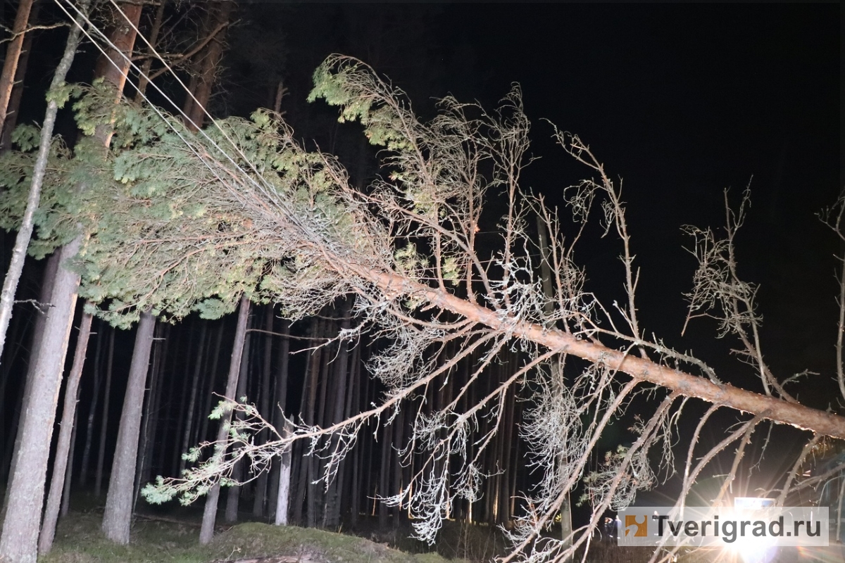 Тверская область отходит от последствий урагана: 600 специалистов восстанавливают обрывы проводов