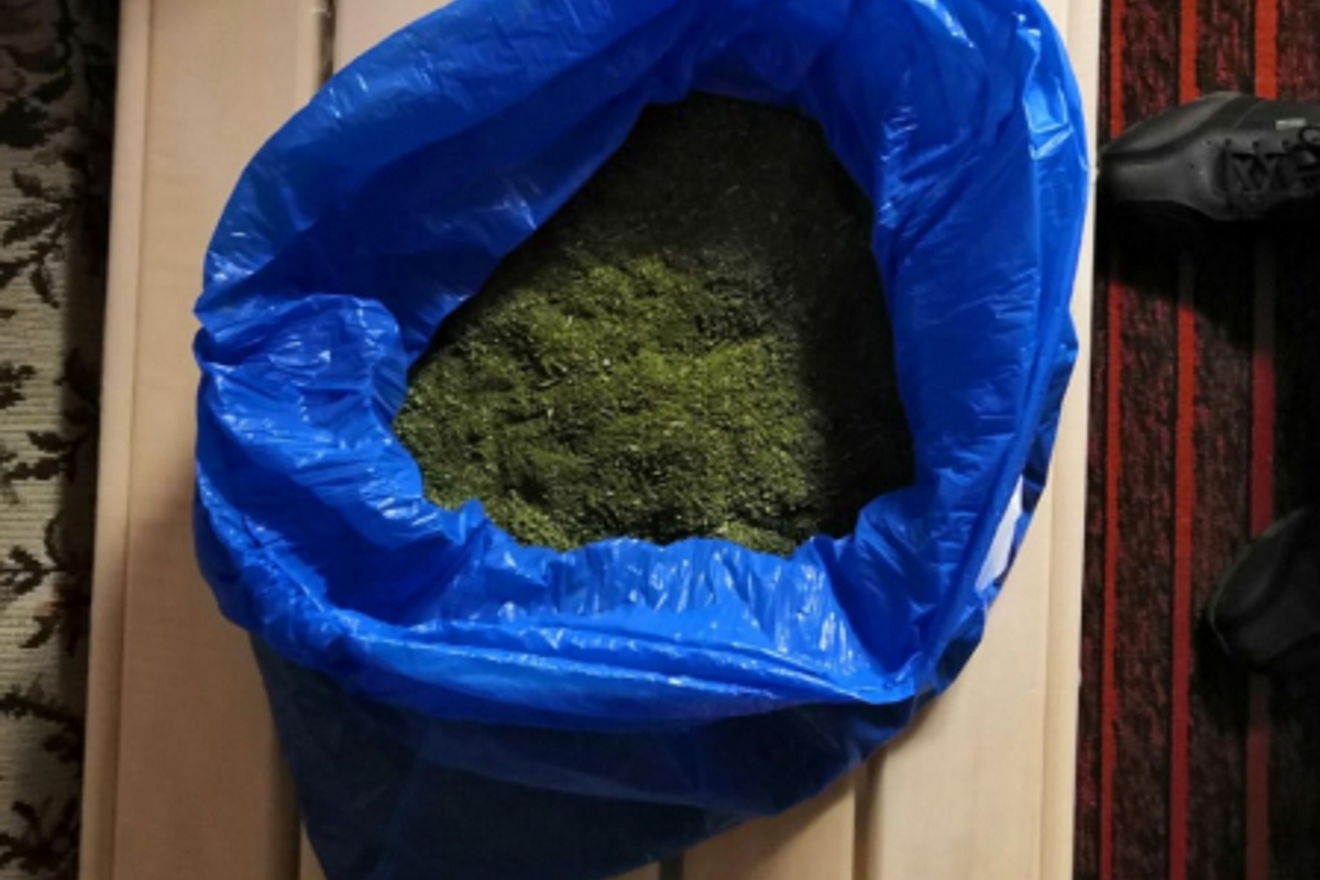 Почти 800 граммов марихуаны нашли дома у жителя деревни в Тверской области