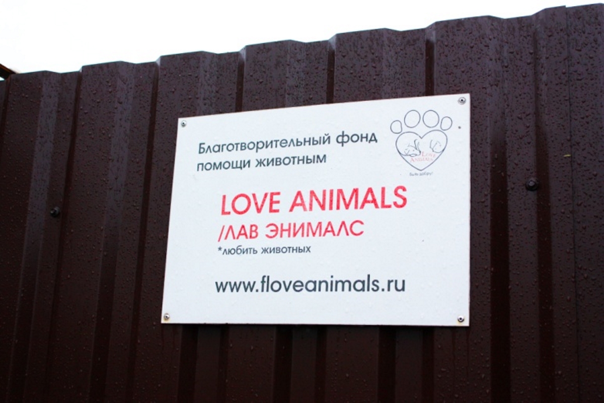 В День защиты животных коллектив Тверского цирка посетил приют «Love animals»