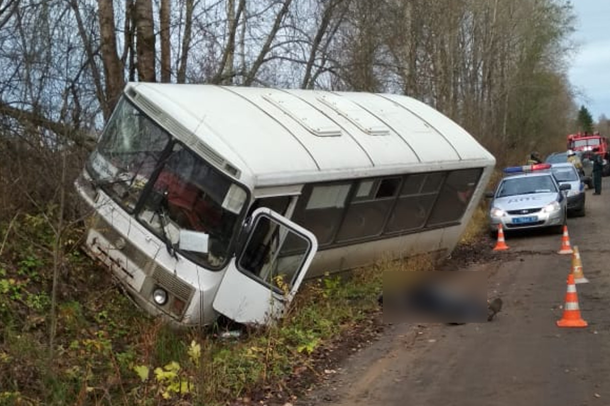 В Тверской области рейсовый автобус с пассажирами вылетел в кювет, умер водитель